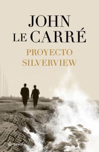 Proyecto silverview