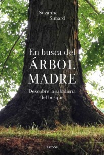 En busca del árbol madre: descrube la sabiduria del bosque