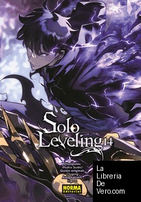 SOLO LEVELING 14